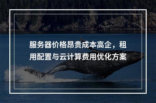服务器价格昂贵成本高企，租用配置与云计算费用优化方案