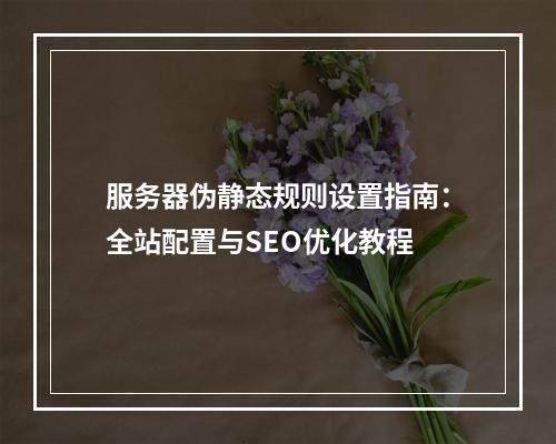 服务器伪静态规则设置指南：全站配置与SEO优化教程