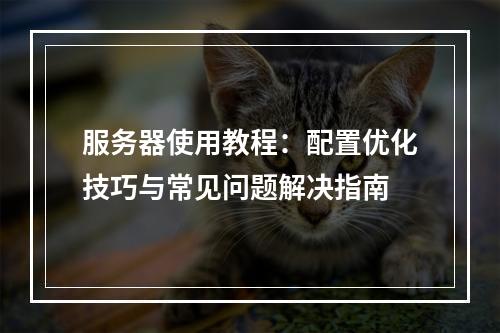 服务器使用教程：配置优化技巧与常见问题解决指南