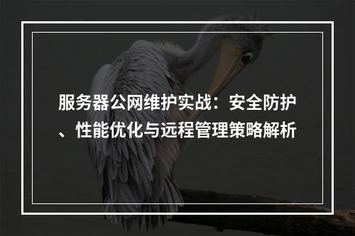 服务器公网维护实战：安全防护、性能优化与远程管理策略解析
