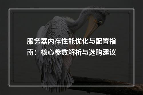 服务器内存性能优化与配置指南：核心参数解析与选购建议