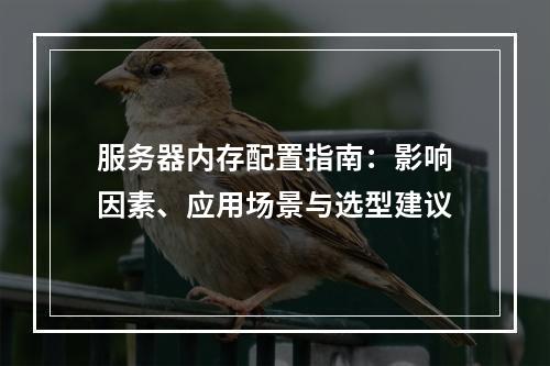 服务器内存配置指南：影响因素、应用场景与选型建议