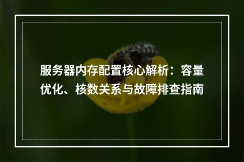 服务器内存配置核心解析：容量优化、核数关系与故障排查指南