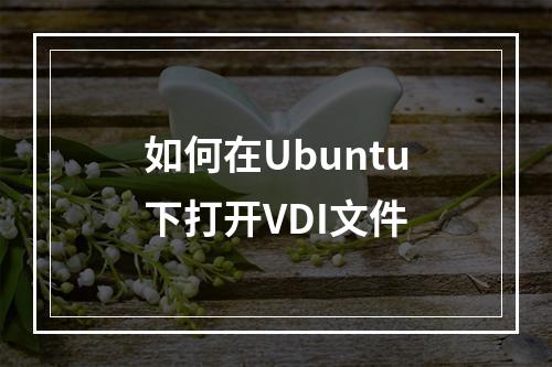 如何在Ubuntu下打开VDI文件