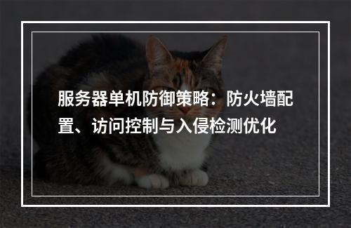 服务器单机防御策略：防火墙配置、访问控制与入侵检测优化