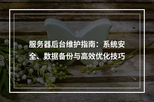 服务器后台维护指南：系统安全、数据备份与高效优化技巧
