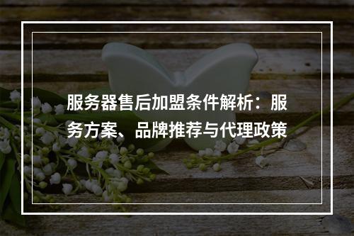 服务器售后加盟条件解析：服务方案、品牌推荐与代理政策