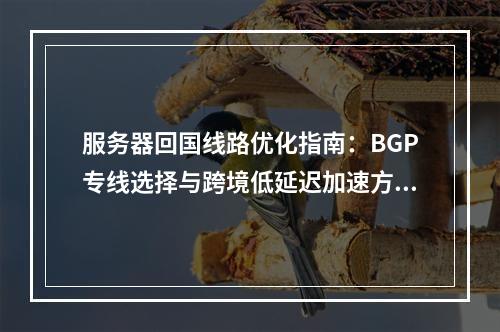 服务器回国线路优化指南：BGP专线选择与跨境低延迟加速方案