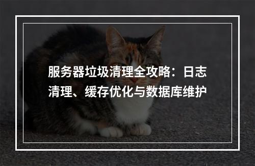 服务器垃圾清理全攻略：日志清理、缓存优化与数据库维护