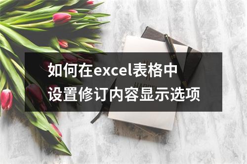 如何在excel表格中设置修订内容显示选项