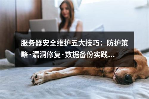 服务器安全维护五大技巧：防护策略·漏洞修复·数据备份实践指南