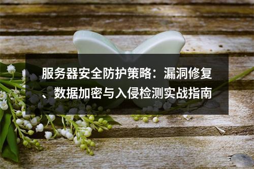 服务器安全防护策略：漏洞修复、数据加密与入侵检测实战指南