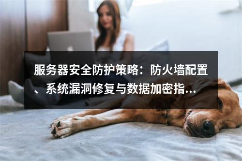 服务器安全防护策略：防火墙配置、系统漏洞修复与数据加密指南