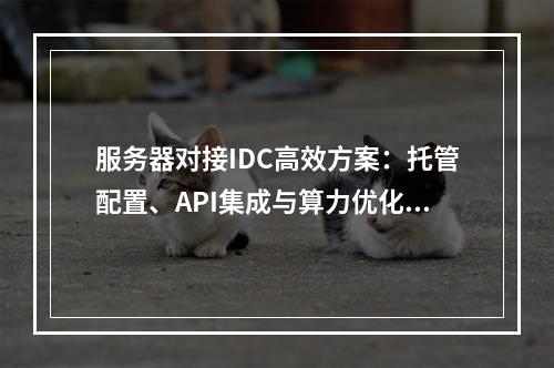 服务器对接IDC高效方案：托管配置、API集成与算力优化指南
