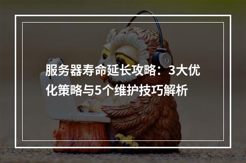 服务器寿命延长攻略：3大优化策略与5个维护技巧解析
