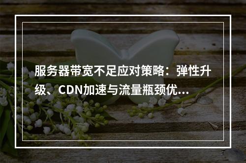 服务器带宽不足应对策略：弹性升级、CDN加速与流量瓶颈优化