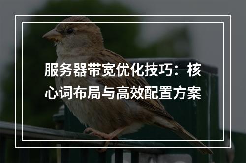服务器带宽优化技巧：核心词布局与高效配置方案
