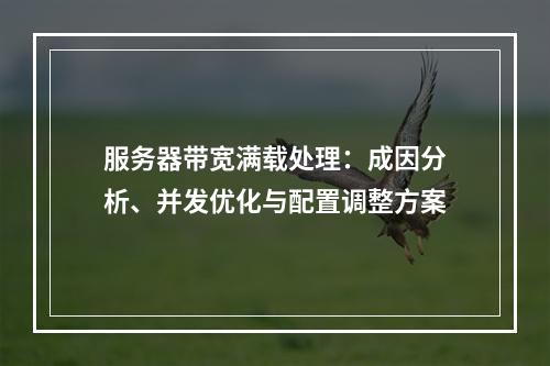 服务器带宽满载处理：成因分析、并发优化与配置调整方案