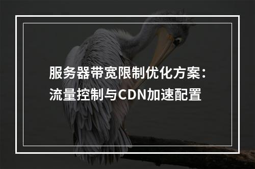 服务器带宽限制优化方案：流量控制与CDN加速配置