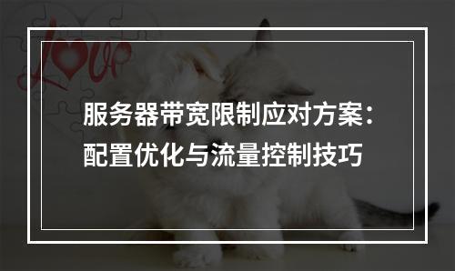 服务器带宽限制应对方案：配置优化与流量控制技巧