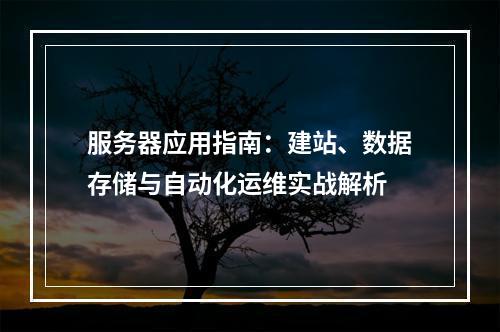 服务器应用指南：建站、数据存储与自动化运维实战解析