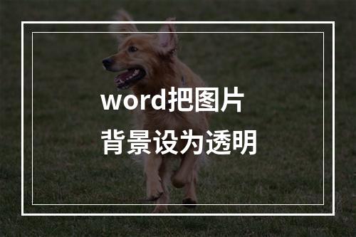 word把图片背景设为透明