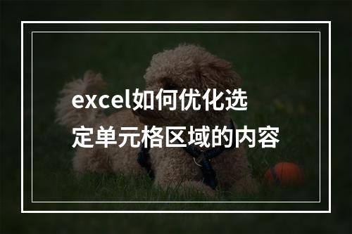 excel如何优化选定单元格区域的内容