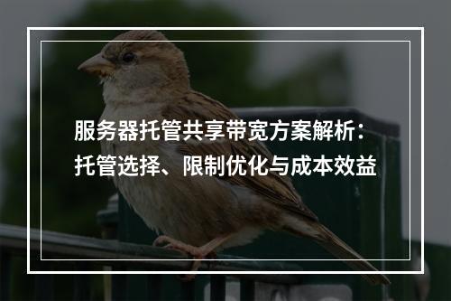 服务器托管共享带宽方案解析：托管选择、限制优化与成本效益