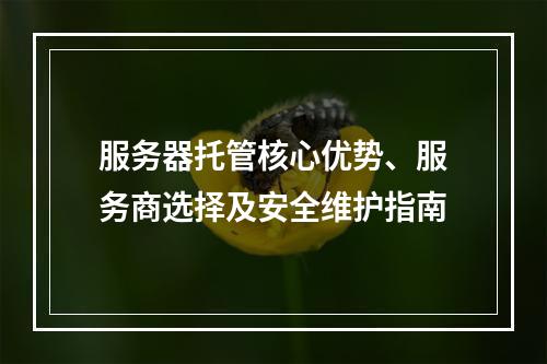 服务器托管核心优势、服务商选择及安全维护指南