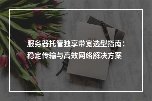 服务器托管独享带宽选型指南：稳定传输与高效网络解决方案