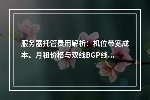 服务器托管费用解析：机位带宽成本、月租价格与双线BGP线路