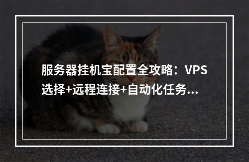 服务器挂机宝配置全攻略：VPS选择+远程连接+自动化任务管理