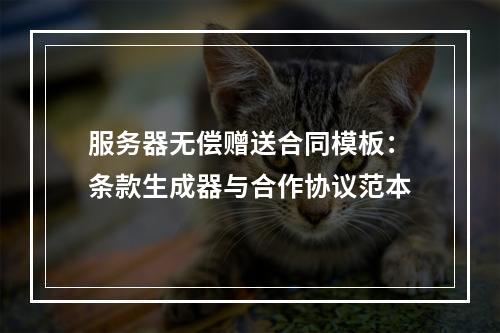 服务器无偿赠送合同模板：条款生成器与合作协议范本