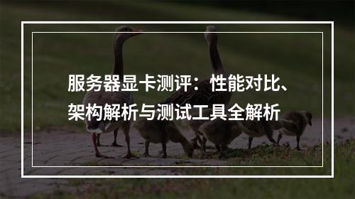 服务器显卡测评：性能对比、架构解析与测试工具全解析