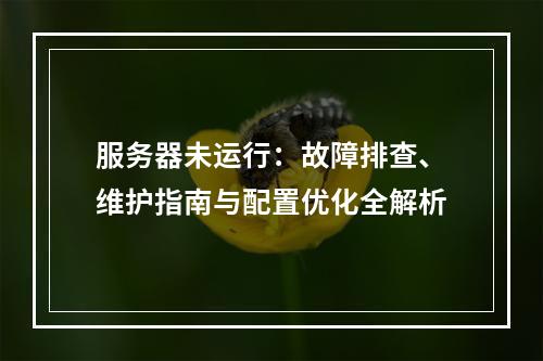 服务器未运行：故障排查、维护指南与配置优化全解析