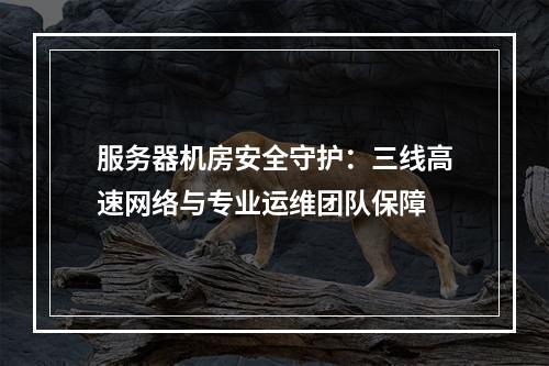 服务器机房安全守护：三线高速网络与专业运维团队保障