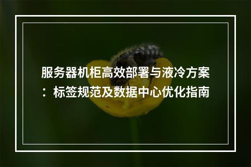 服务器机柜高效部署与液冷方案：标签规范及数据中心优化指南