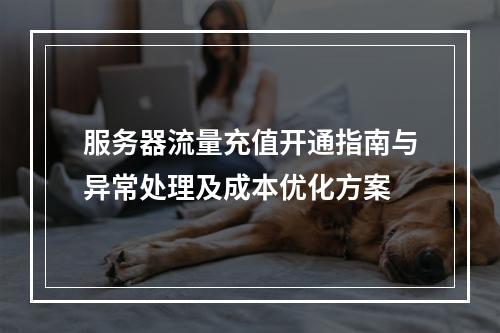 服务器流量充值开通指南与异常处理及成本优化方案