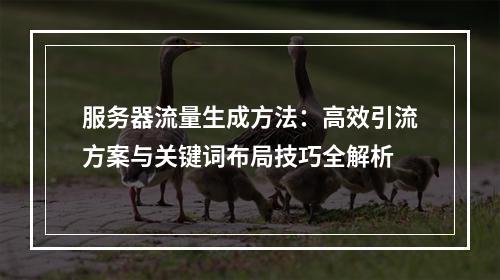 服务器流量生成方法：高效引流方案与关键词布局技巧全解析
