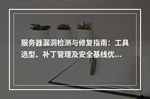 服务器漏洞检测与修复指南：工具选型、补丁管理及安全基线优化