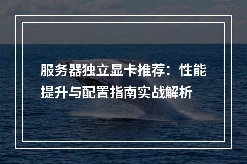 服务器独立显卡推荐：性能提升与配置指南实战解析