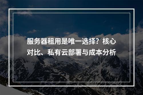 服务器租用是唯一选择？核心对比、私有云部署与成本分析