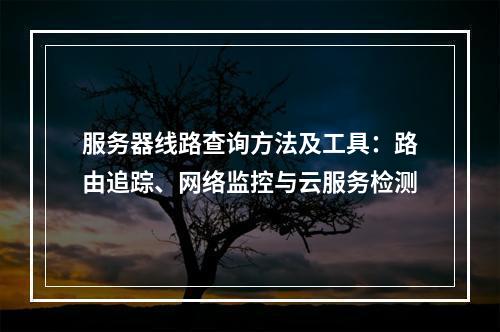 服务器线路查询方法及工具：路由追踪、网络监控与云服务检测