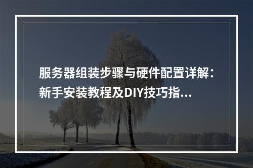 服务器组装步骤与硬件配置详解：新手安装教程及DIY技巧指南