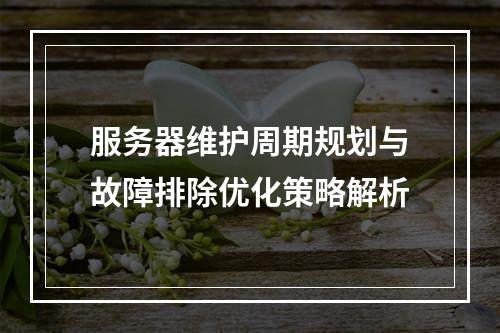 服务器维护周期规划与故障排除优化策略解析