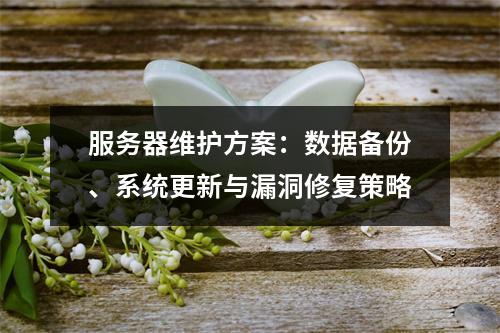 服务器维护方案：数据备份、系统更新与漏洞修复策略