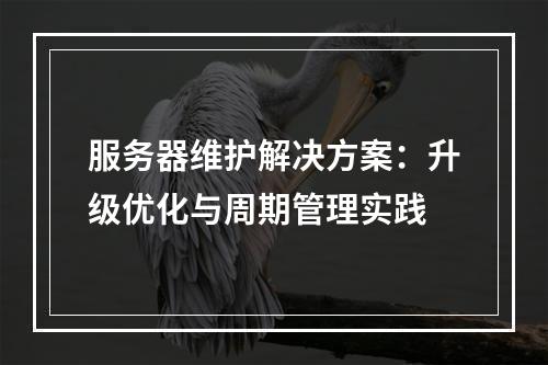 服务器维护解决方案：升级优化与周期管理实践