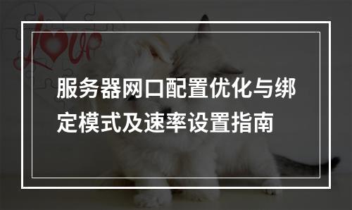 服务器网口配置优化与绑定模式及速率设置指南
