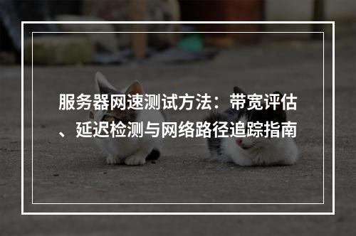 服务器网速测试方法：带宽评估、延迟检测与网络路径追踪指南
