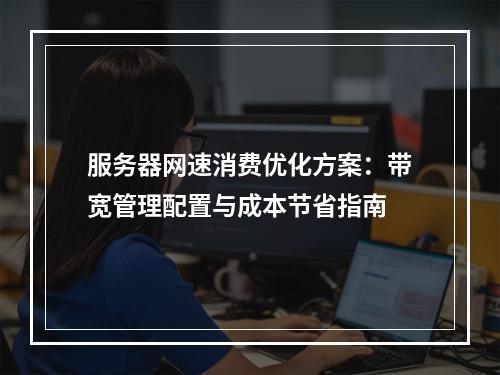 服务器网速消费优化方案：带宽管理配置与成本节省指南